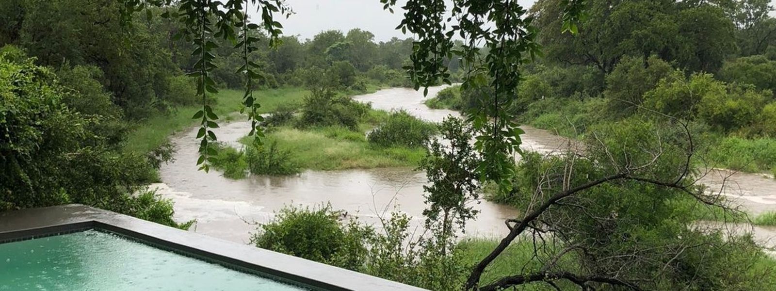 The Manyeleti River Floods: Silvan Safari Blog