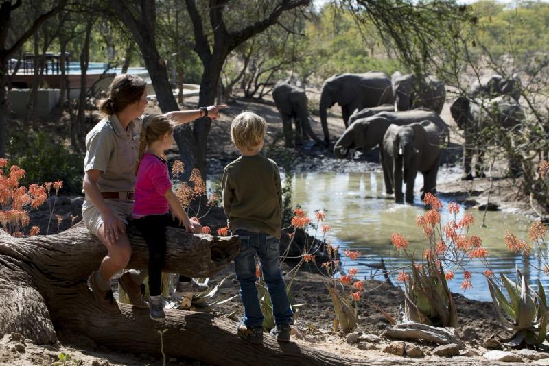 Two kids and a guide watching a herd of elephants drinking at a waterhole