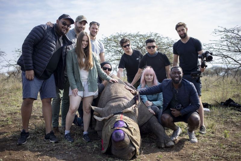 Opération de sauvetage du rhinocérors noir par Wildlife ACT