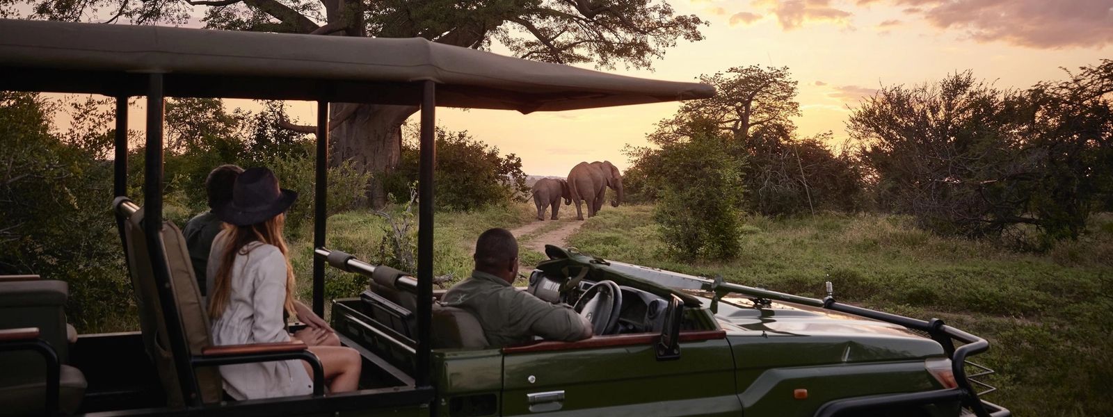Comment rester pleinement présent pendant un safari