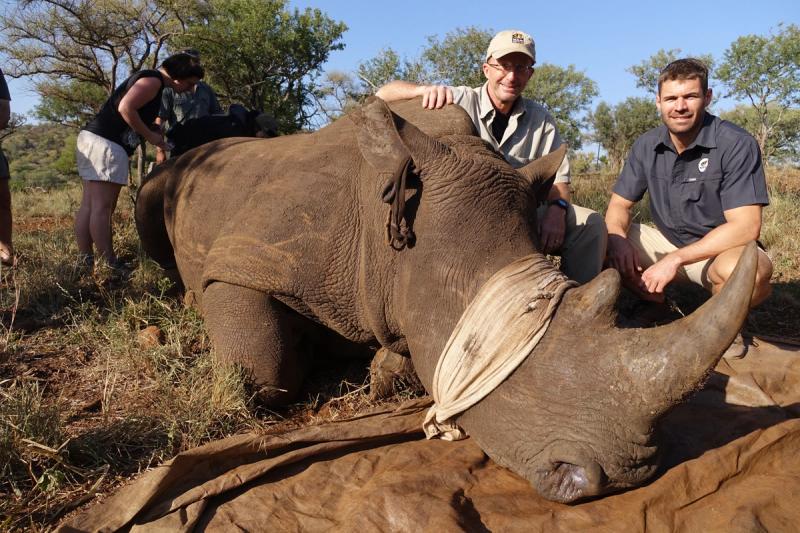 Wildlife ACT é um dos Parceiros de Impacto da Rhino Africa