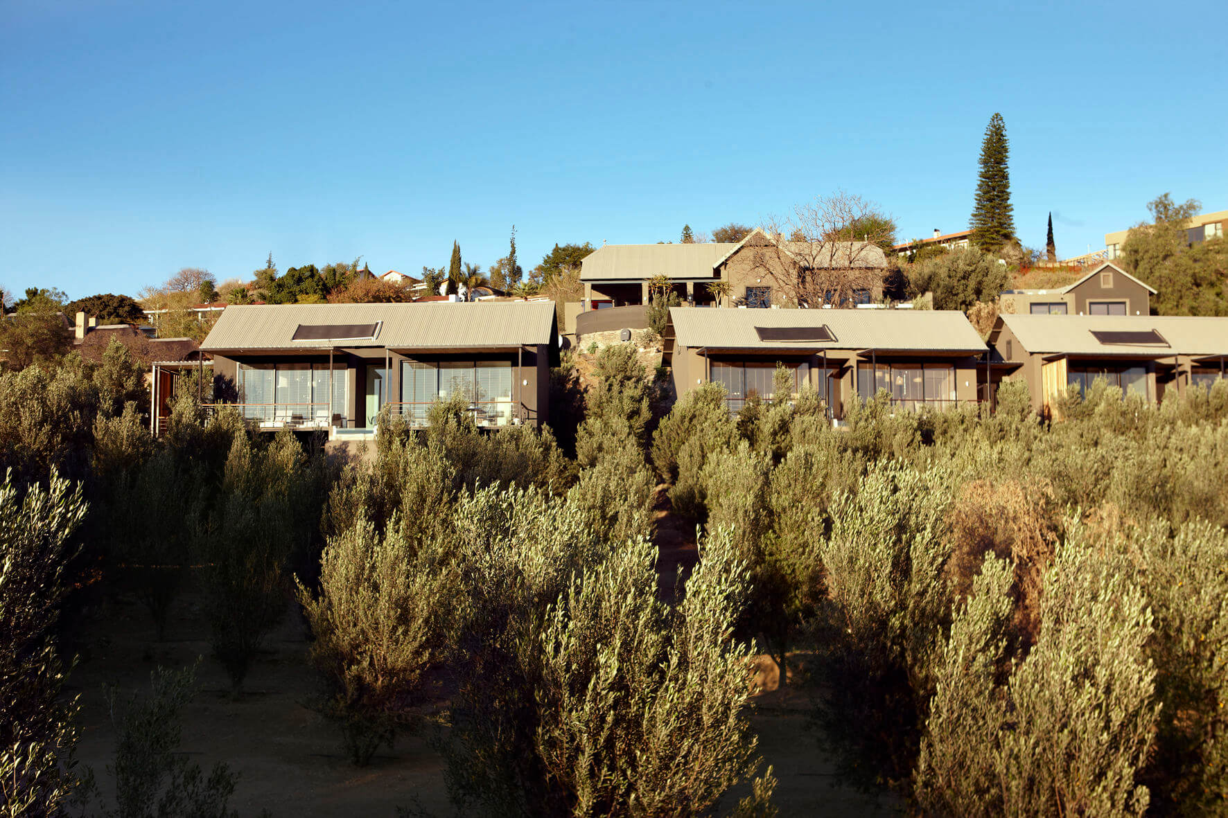 The Olive Exclusive All-Suite Hotel I Aktuelle Bewertung 2018
