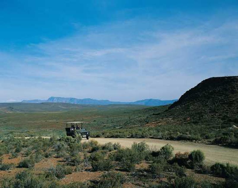 Sanbona Game Drive