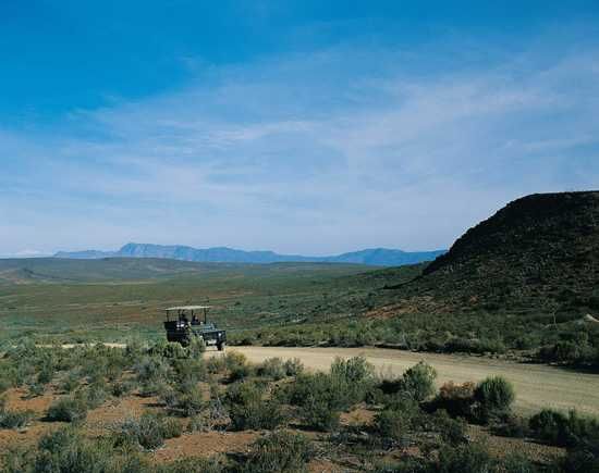 Sanbona Game Drive