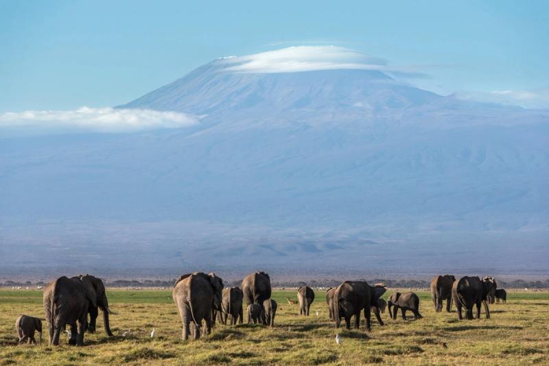 Paisagens de sonho no Parque Nacional Amboseli