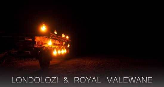 A Trip to the Kruger, Royal Malewane and Londolozi!