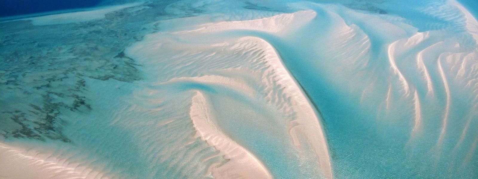 Retour sur 2017 : 7 bonnes nouvelles pour notre planète