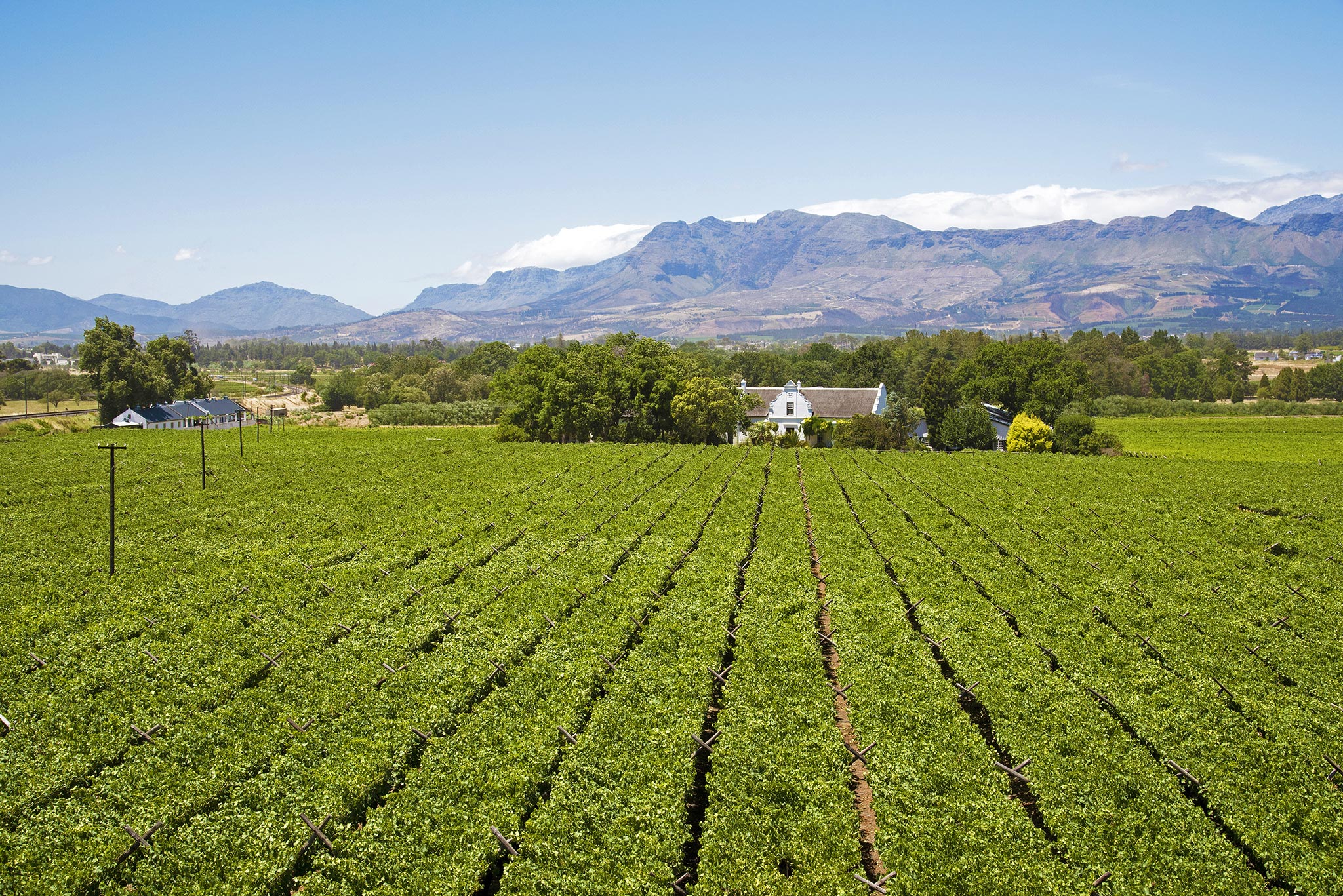 Our Favourite Restaurants in Paarl