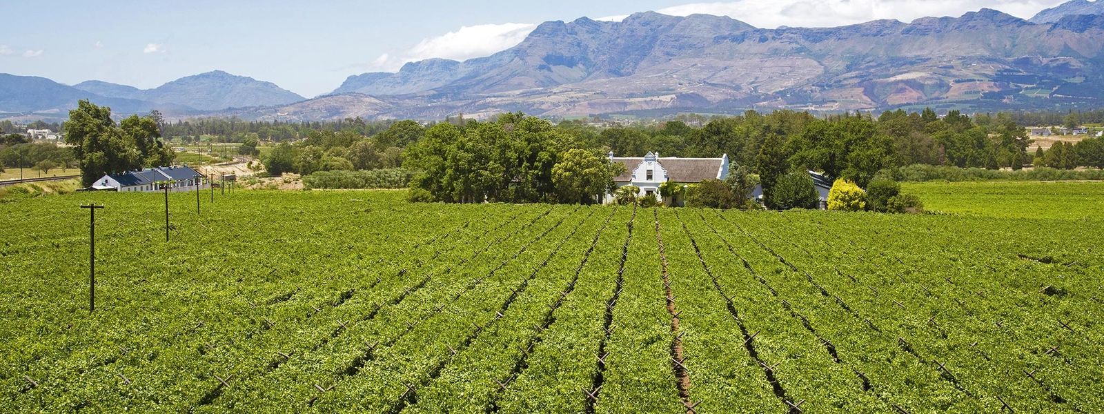 Our Favourite Restaurants in Paarl