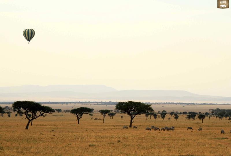 Sunset over the Serengeti