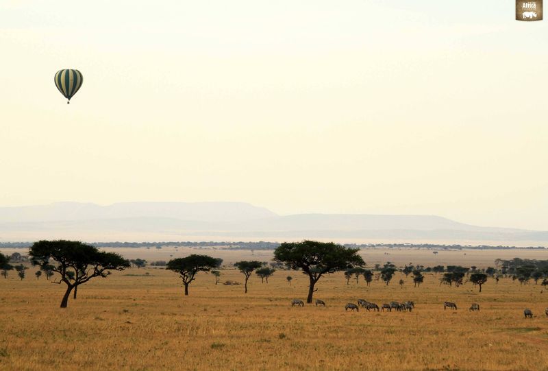 Sunset over the Serengeti