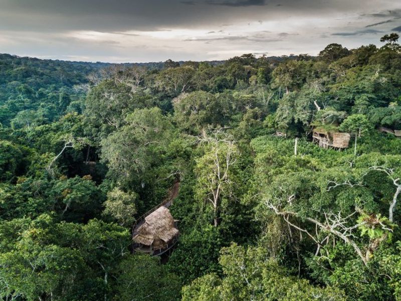 O deslumbrante Acampamento Ngaga