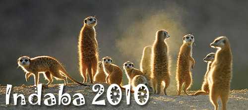 Indaba 2010 - David's Speech