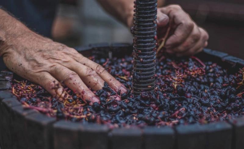 Weinproduktion