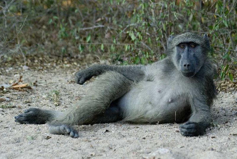 "Paint me like one of your French girls..."