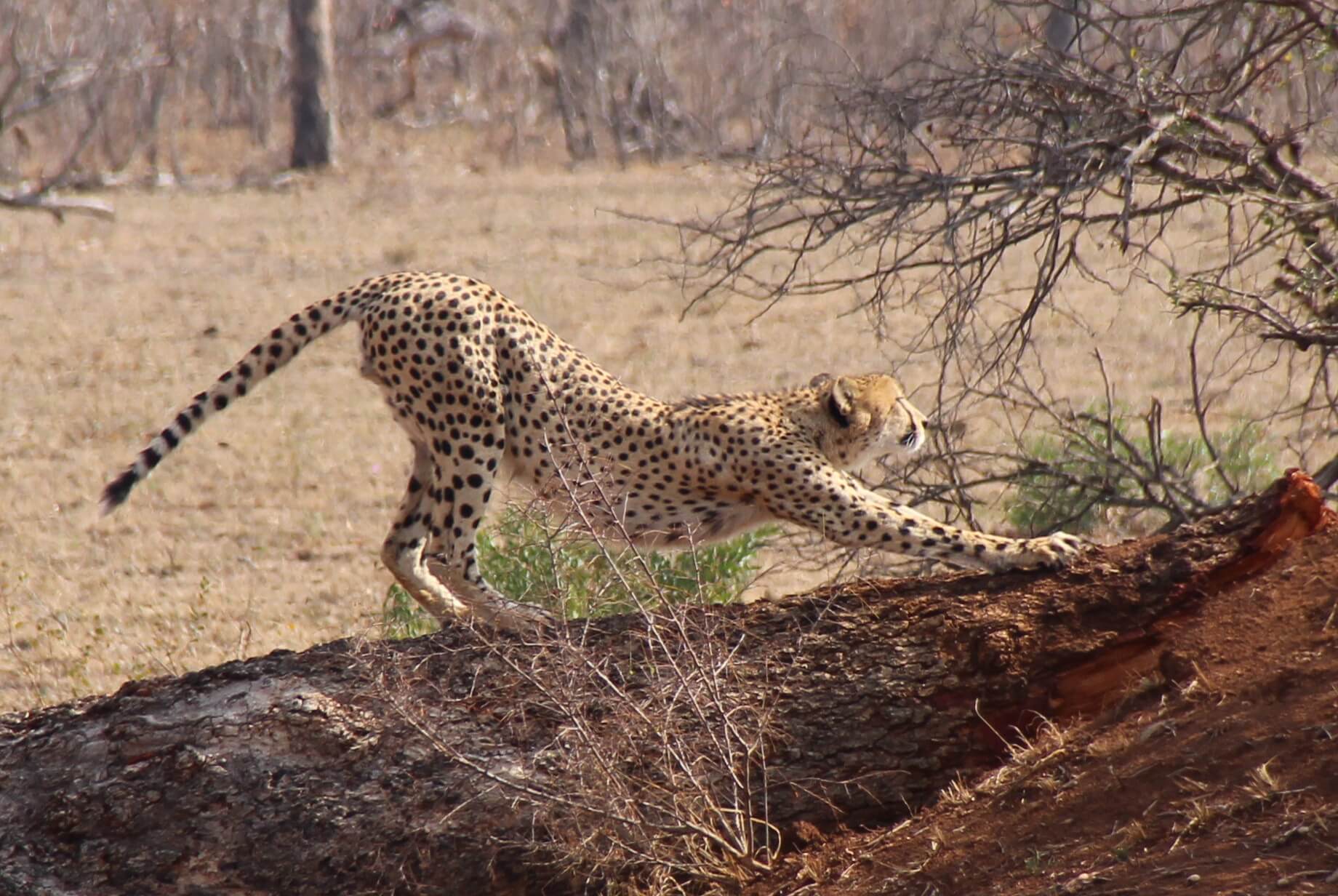 My Trip | Two Biologists Fall For Africa's Unique Biodiversity