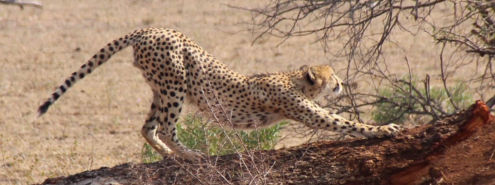 My Trip | Two Biologists Fall For Africa's Unique Biodiversity