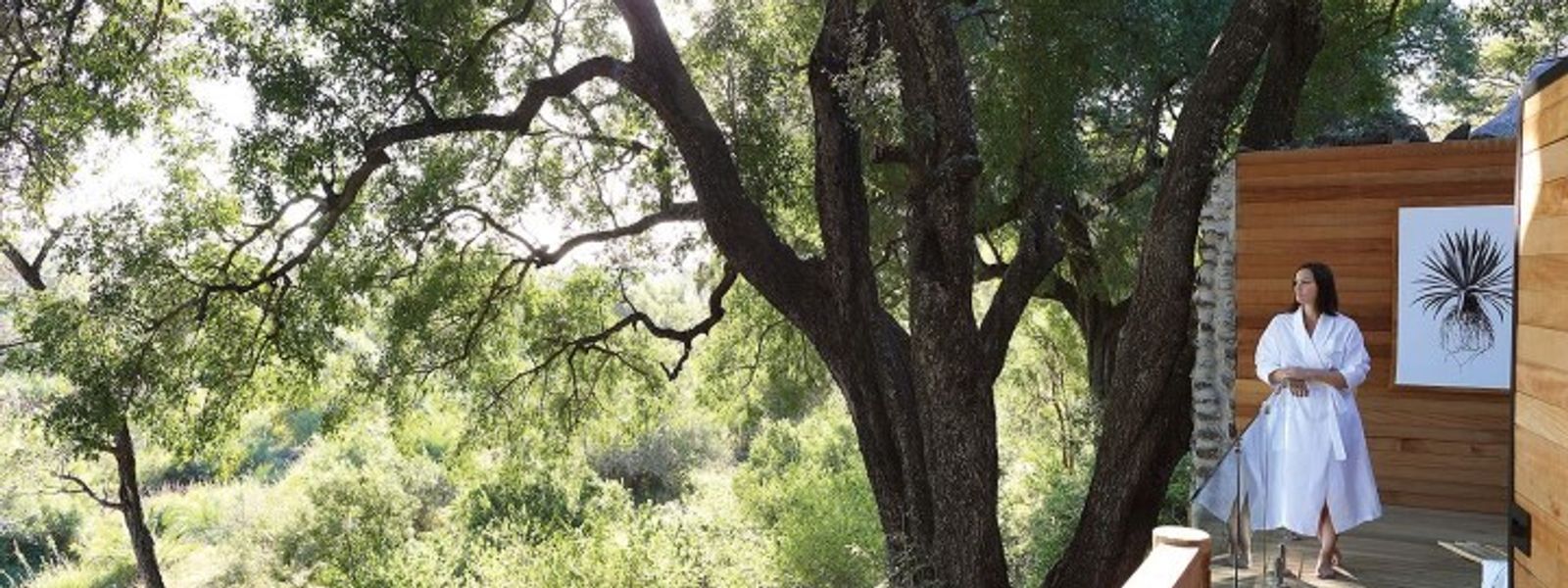 In Harmonie mit der Natur und sich selbst: Londolozis Healing House