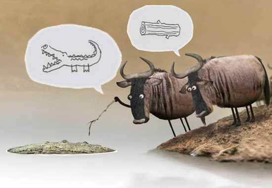 The Great Migration Uncovered