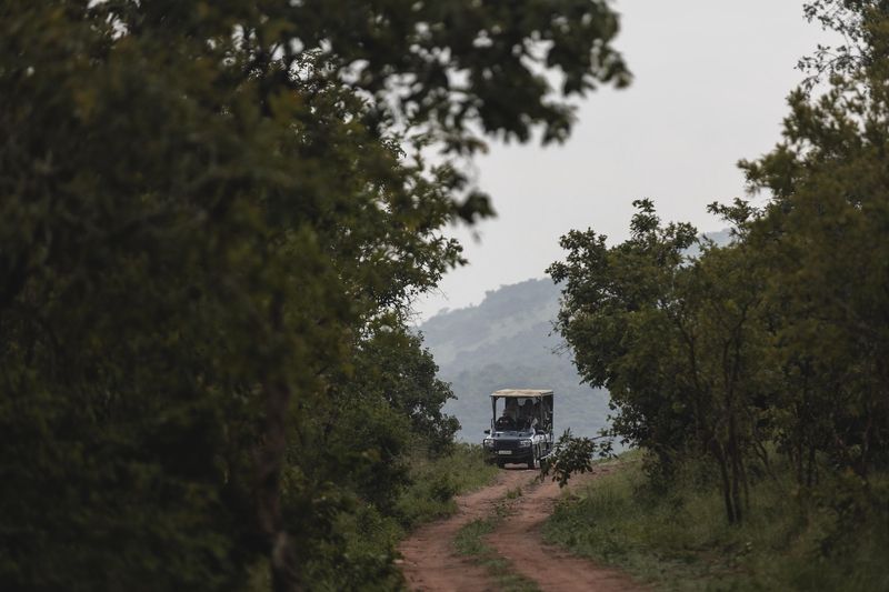 A game drive vehicle moves down a dirt road while on a Rwanda safari