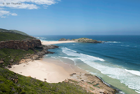 Holiday To-Do List # 3: Robberg Nature Reserve