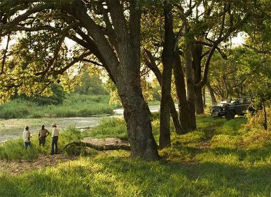 Singita Sabi Sand | Conde Nast Readers' Choice Awards