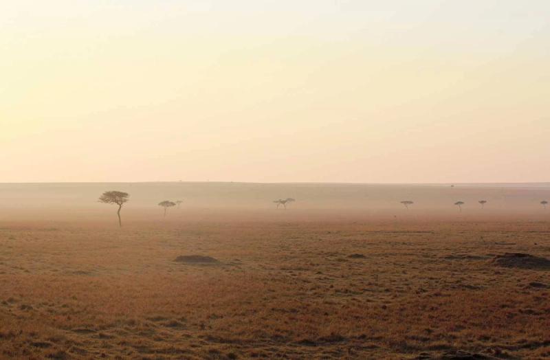 The Masai Mara