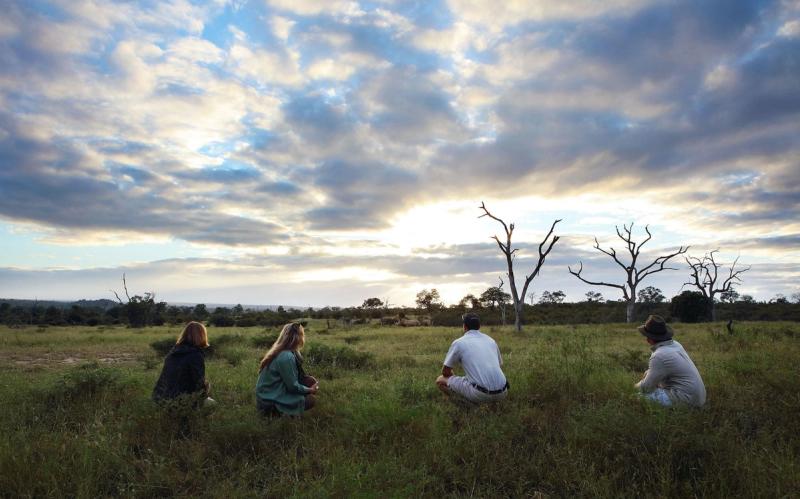 Product & destination in one: Londolozi Private Game Reserve