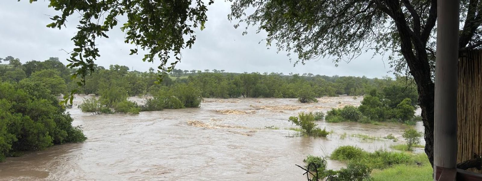 Navigating the Greater Kruger Floods: What You Need to Know
