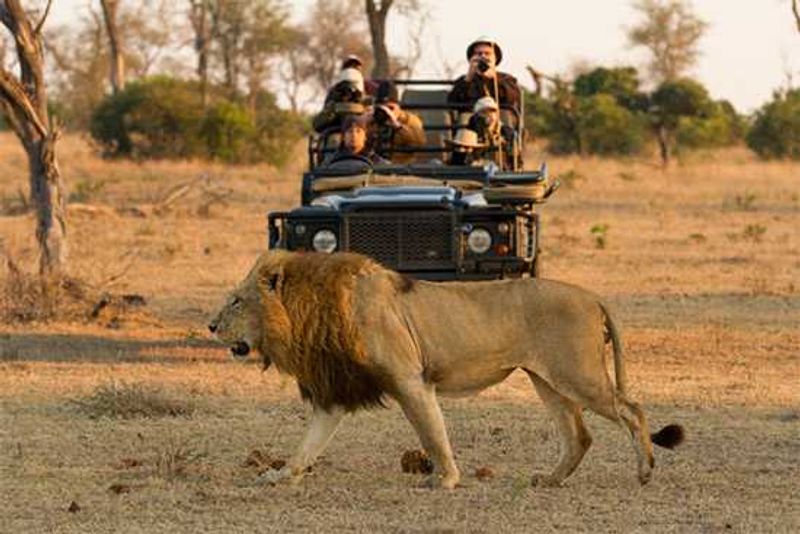 Photograph by James Tyrrell | Londolozi