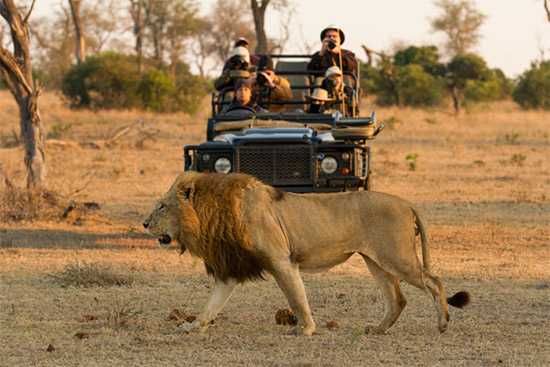 Photograph by James Tyrrell | Londolozi
