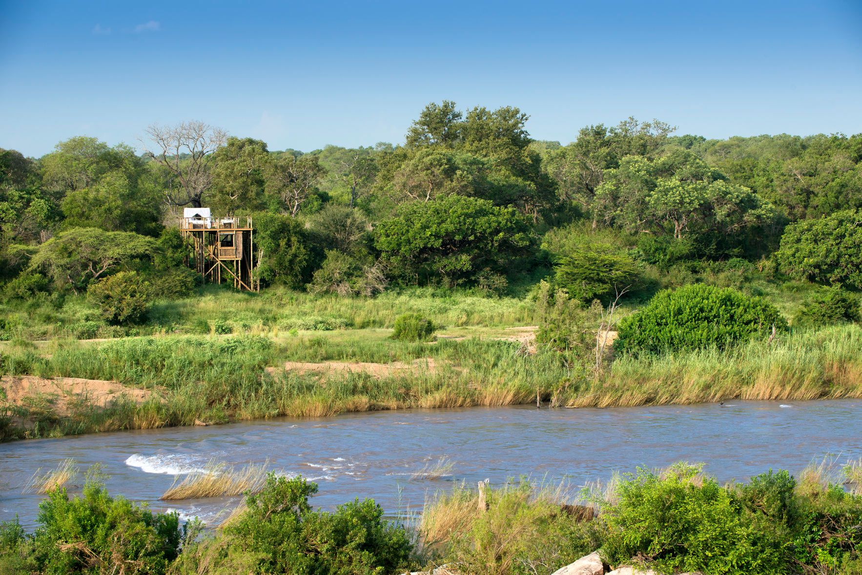 The Magical Treehouses of Lion Sands