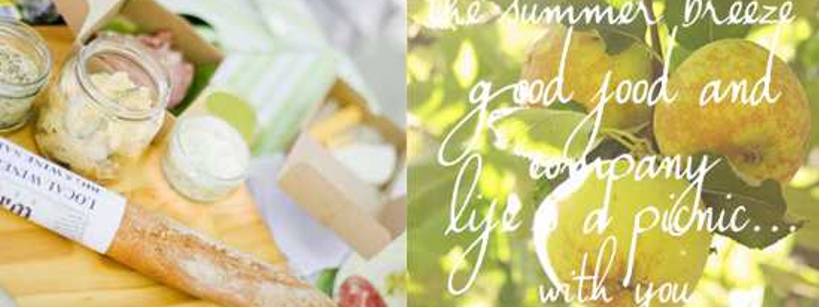 Where Rhinos Picnic: Cape Town & the Winelands