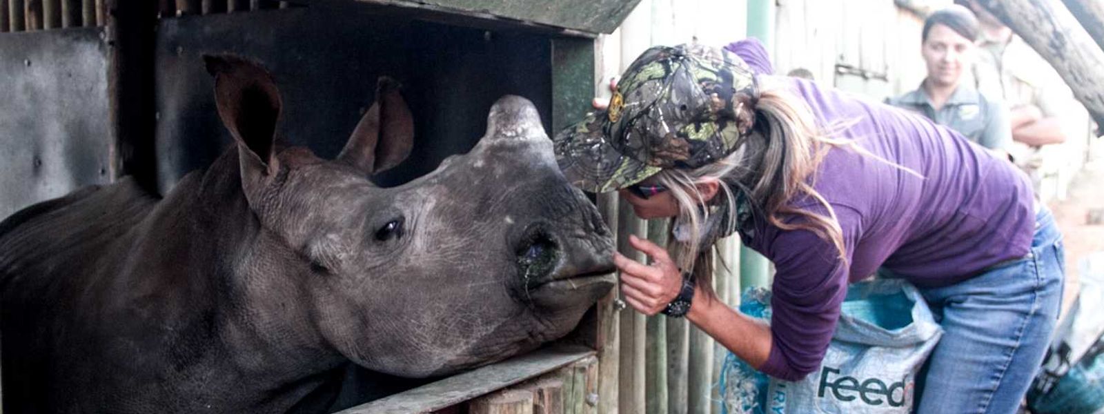 Is the Fight Against Rhino Poaching Futile?