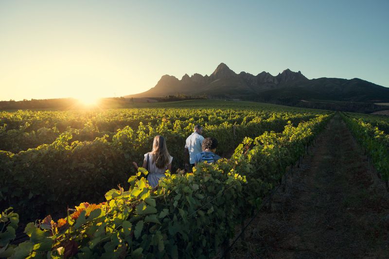 Winelands trails