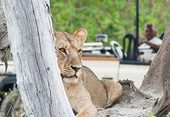 Our Month in Africa