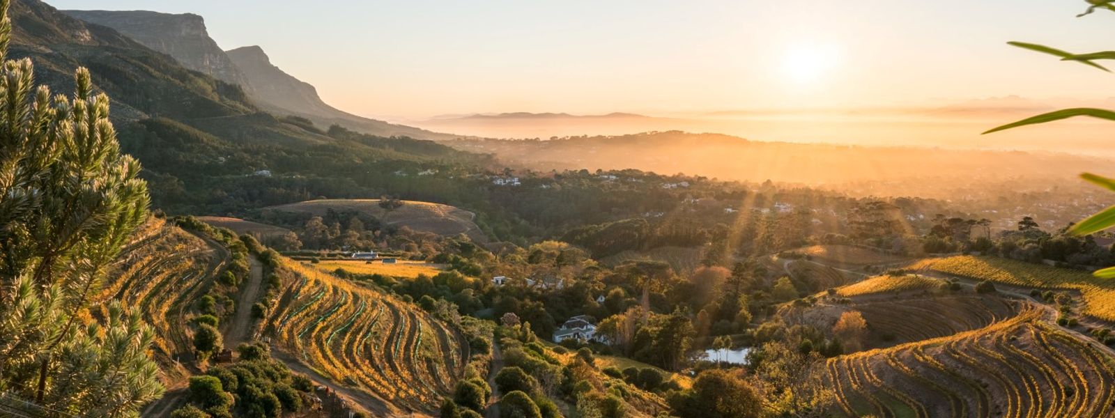 Constantia, l’un des secrets les mieux gardés du Cap