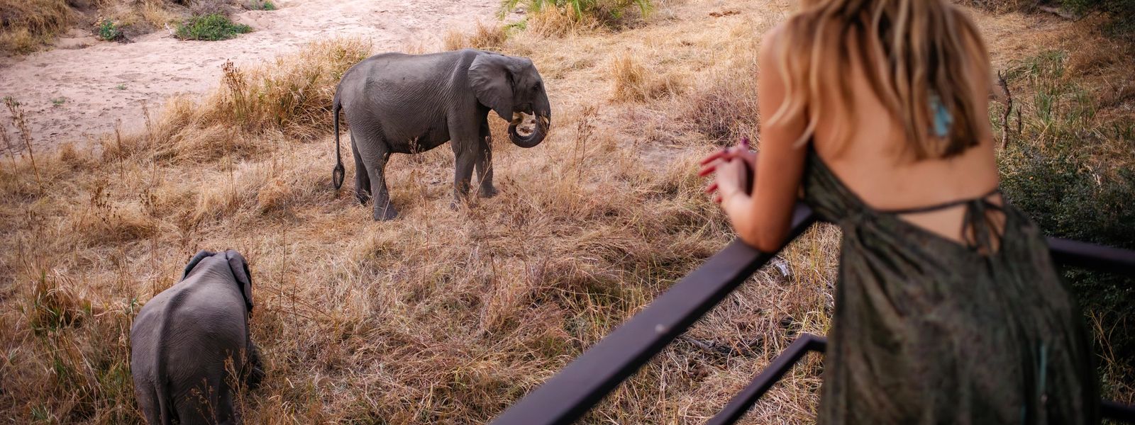 21 Years of Crafting Luxury African Safaris