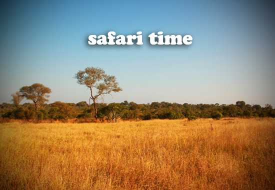 Into the Wild of Chitwa Chitwa - Day 1