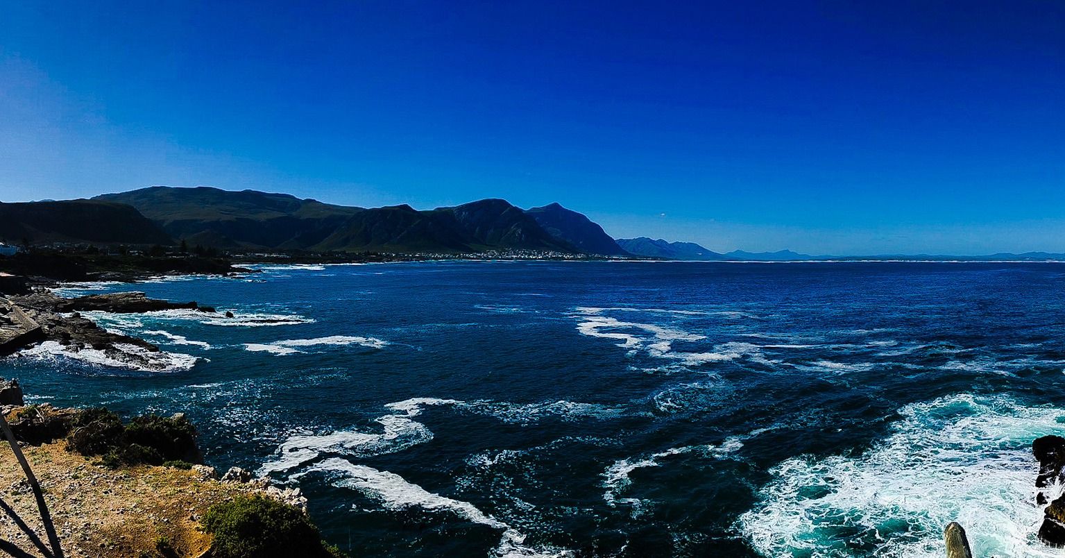 Best Places For Spotting Whales in South Africa