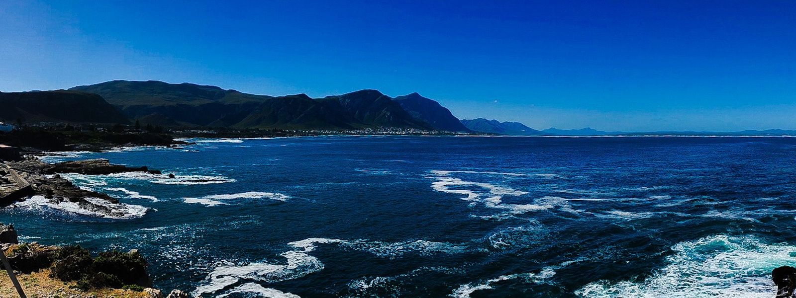 Best Places For Spotting Whales in South Africa