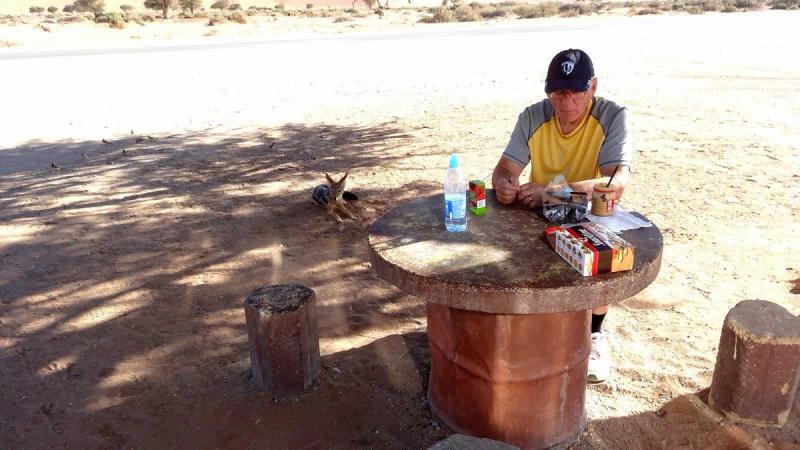 "Returning to our vehicle at the Deadvlei parking lot we decided it was snack time so out came the peanut butter and crackers where we sat at a cement table and stools. All of a sudden we noticed 2 black backed jackals approach us but not coming too close, just laying on the ground beside us waiting for whatever food we had to offer them."