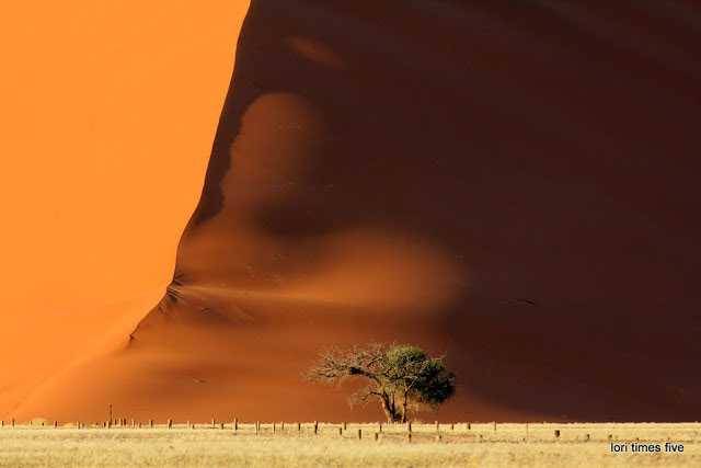 My Trip | Namibia through Lori's lens