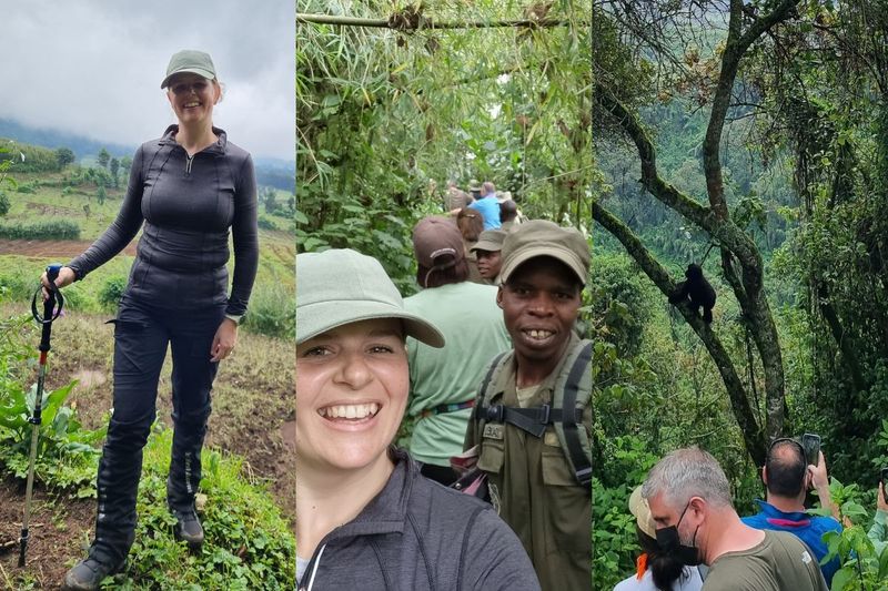 A triptych of Allison's progression of her gorilla trekking experience in Volcanoes National Park