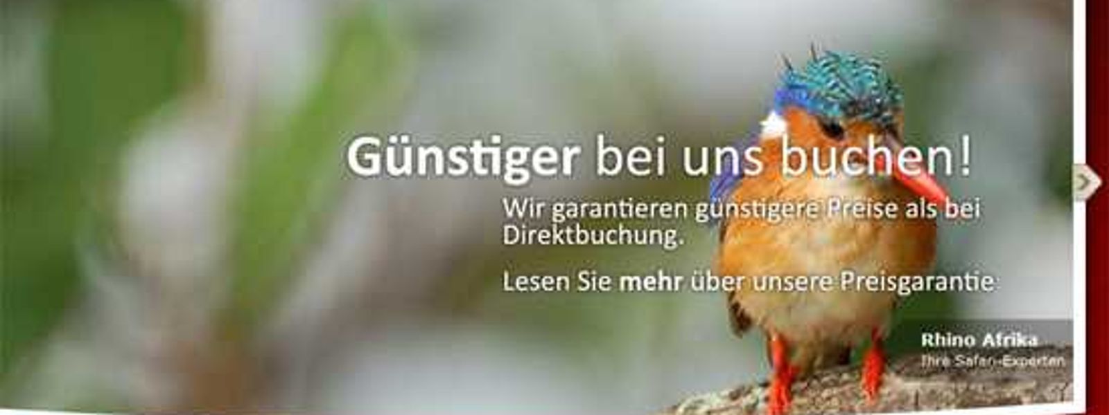 Presenting.... our new German and French sites!