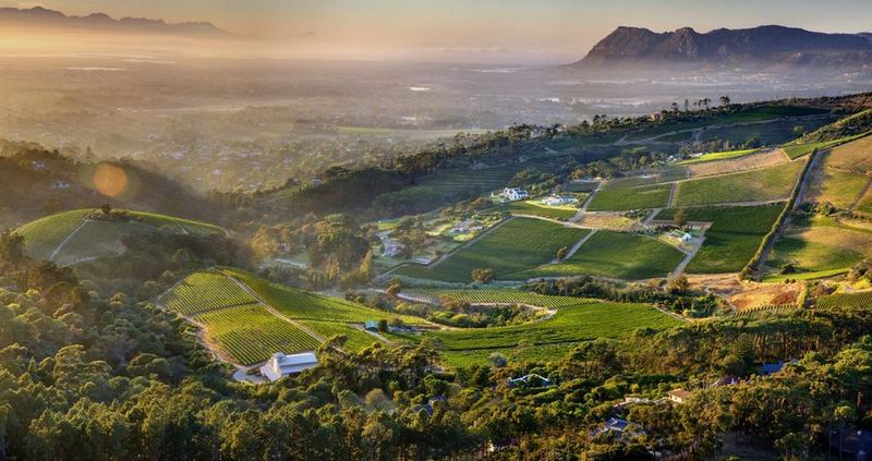 Constantia Glen Weinfarm bei Kapstadt