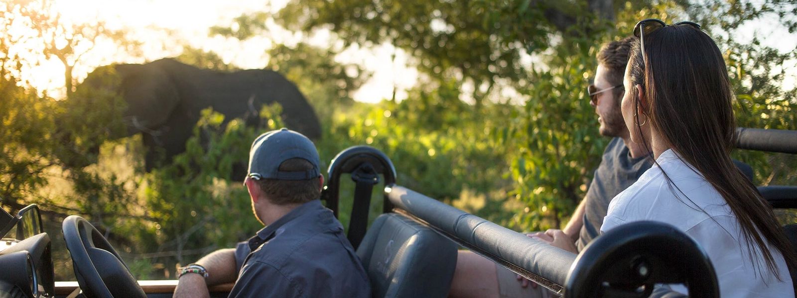 Silvan Safari Blog - What Makes Silvan So Special?