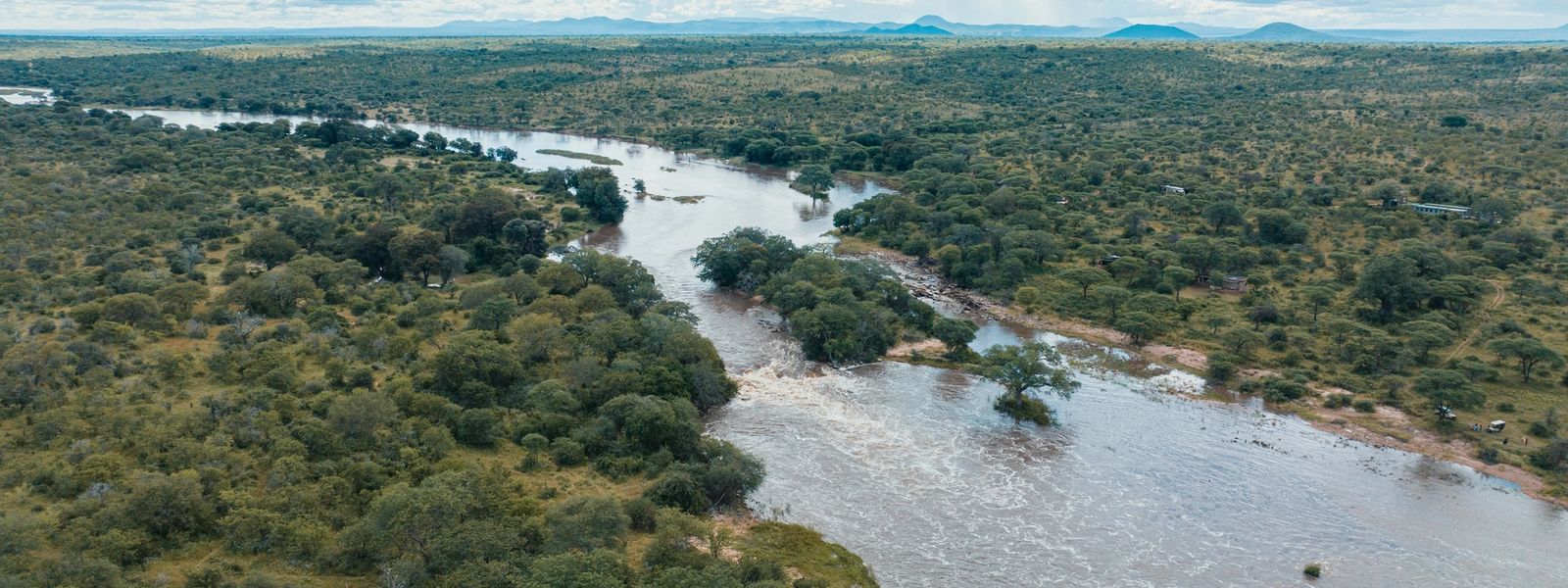 A Nyerere National Park Safari is Waiting for You