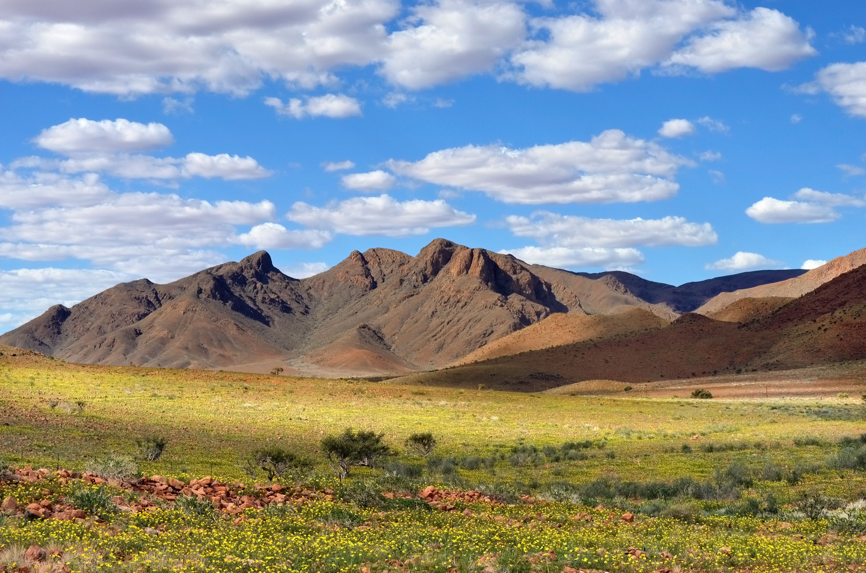 Überraschend grün: Namibia in der Regenzeit