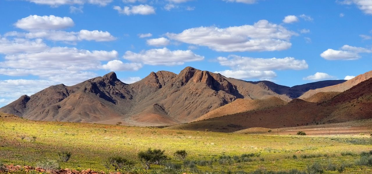 Überraschend grün: Namibia in der Regenzeit